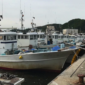 豊浜夕市の様子！旬のシャコは少なくダイヤモンド！？の画像