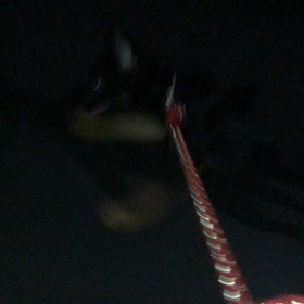 坂道ダッシュ！の画像