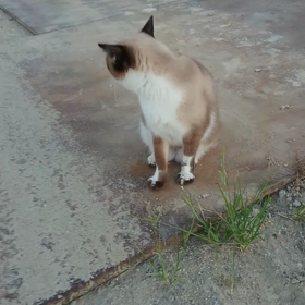 今日はハグの日の画像