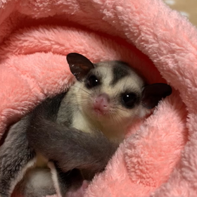 はじまっています。。。の画像