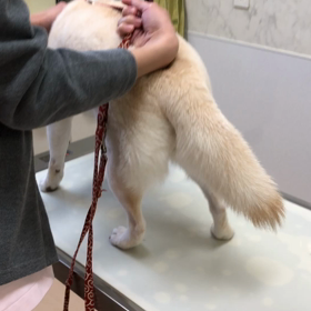 予防注射にの画像