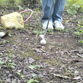 小さな事からコツコツとの画像