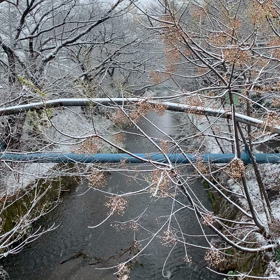 初雪の画像