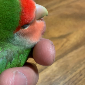 今日は暑い暑いの画像