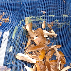 もうイヤ(ﾁｮｯﾄ追加)の画像