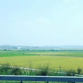 もんちゃーーーんの画像