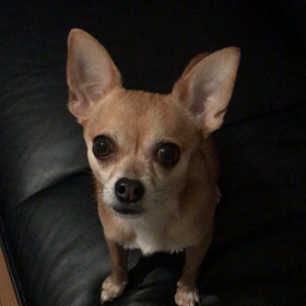 全身で会話♡の画像