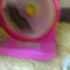 今日の『たまり』の画像