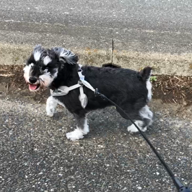 台風一過の画像