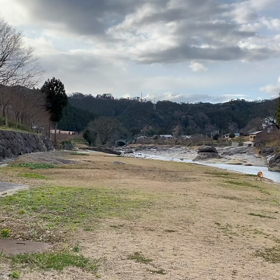 19歳ポッキーの画像