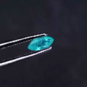 久しぶりのネオン・ネオンの画像