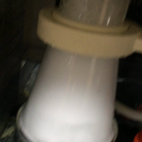 リーフオクトパス 続きの画像