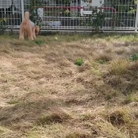 久しぶりに！の画像