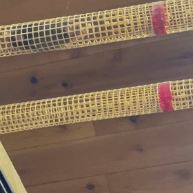 これが！もぐら！の画像