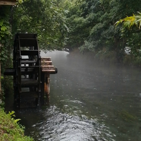 こもりんも一緒にの画像