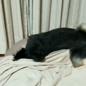 疲れ知らずの画像