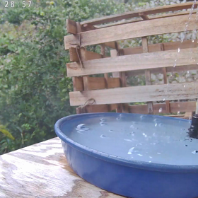 すぎぴたんの事件簿シーズン3　398話（お風呂の水を全部抜く！　スズメ）の画像