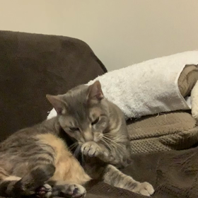 おはようございますの画像