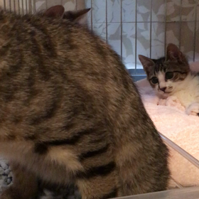 今日は動画で。。。の画像