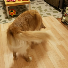 サンタさんからのプレゼントの画像