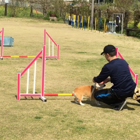 ハードルとAフレームレッスンの画像