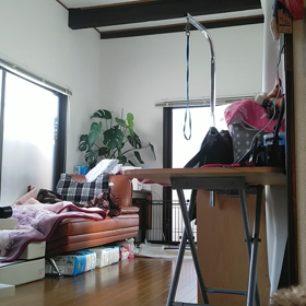 「ルーちゃん」の画像