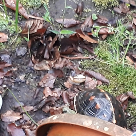 こっちも‼️の画像