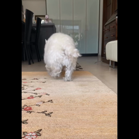 チーン♪ロングバージョンの画像