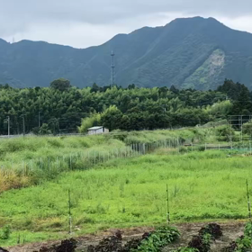 那智黒ストレートの画像