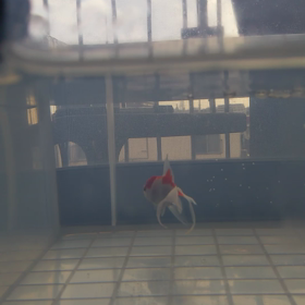 飯田組の経過の画像