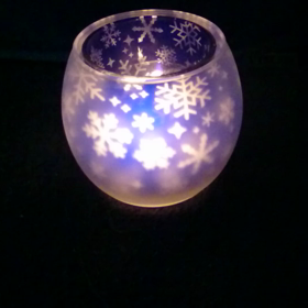 この冬のニューカマーの画像