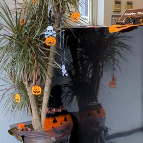 お店の中わ？の画像