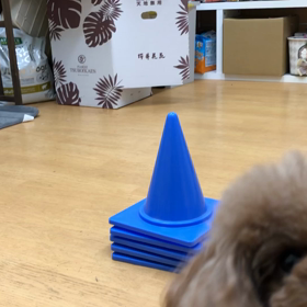 回ります。の画像