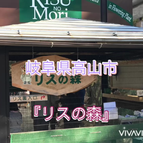 リスって冬眠するのねの画像