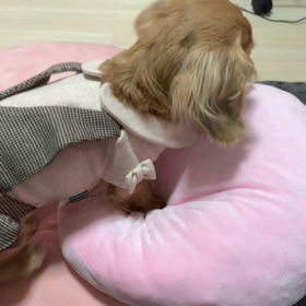 今日も楽しー❤️の画像