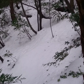 狩猟おわり〰の画像