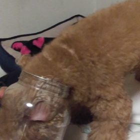 がっつくそらの画像