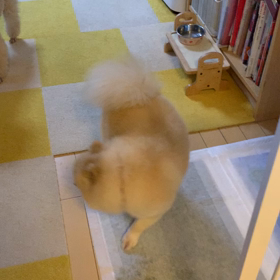 がんばってるよ(^^)/の画像