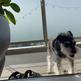 入りたくないぼくの画像