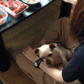 孫とデブ犬の画像