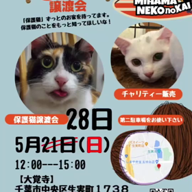 譲渡会の変更のお知らせの画像