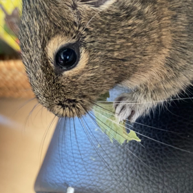 快適じゃいの画像