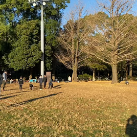 ダッシュ(ピンクチーム)④の画像