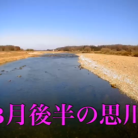 今年の思川鮎釣りは❓の画像