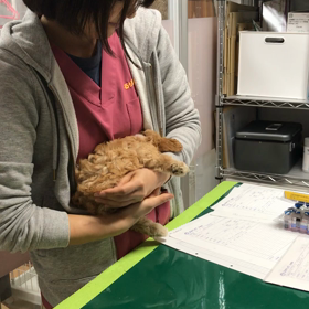 1回目の予防接種行ってきたよの画像