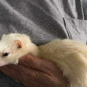 ねんねんよ〜の画像