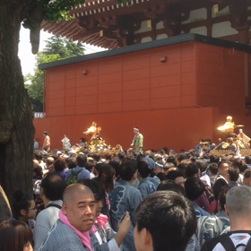 三社祭の画像