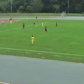 全国大会ゴールシーン(動画)の画像