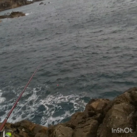 地磯釣行第２弾！の画像