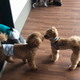 マナーレッスン1日目記録の画像